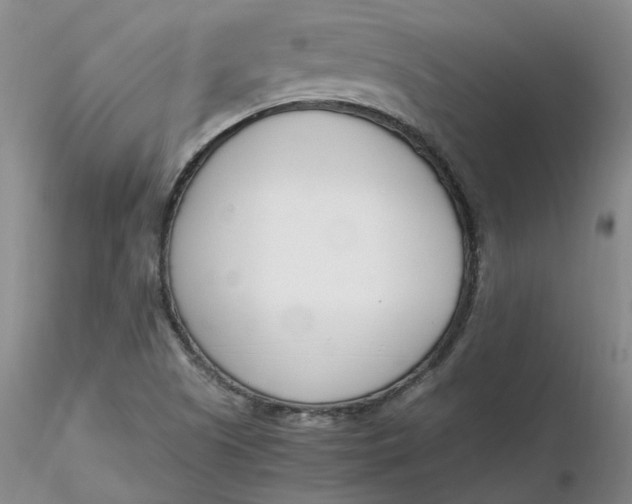 X0000116271505200912211747