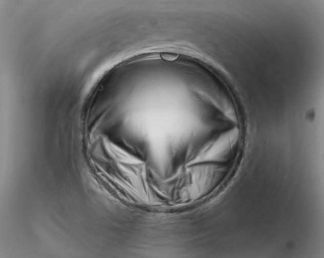 X0000116271506200912211747