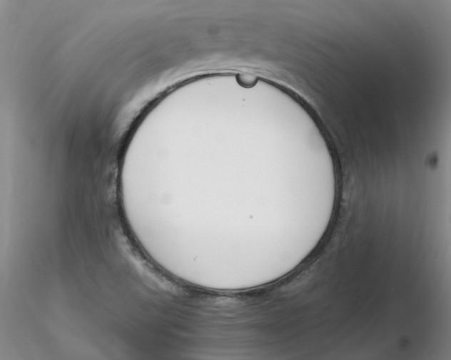 X0000116271507200912211747