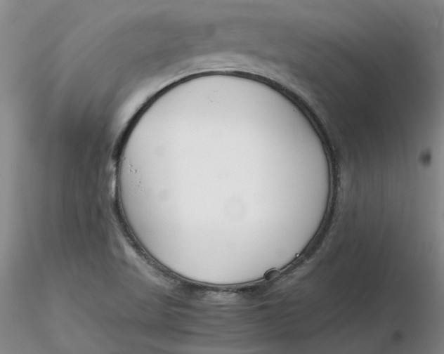 X0000116271509200912211747