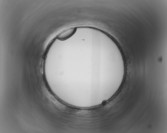 X0000116271510200912211747