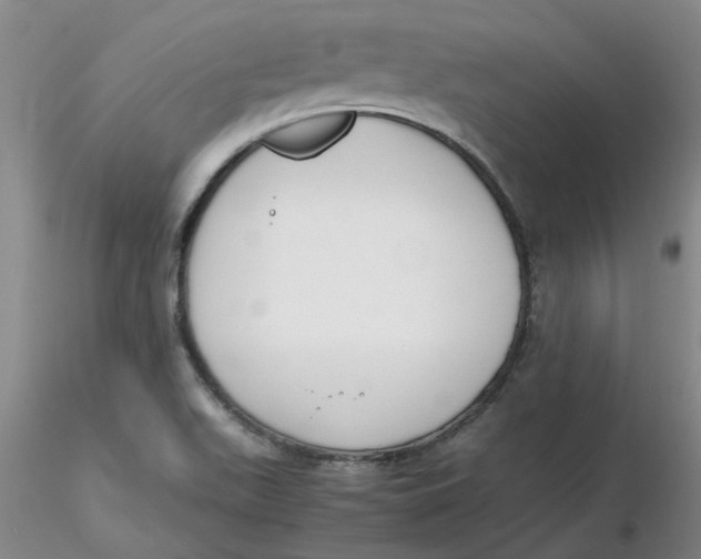 X0000116271511200912211747