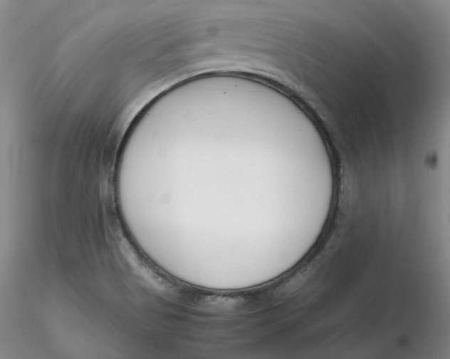 X0000116271513200912211747