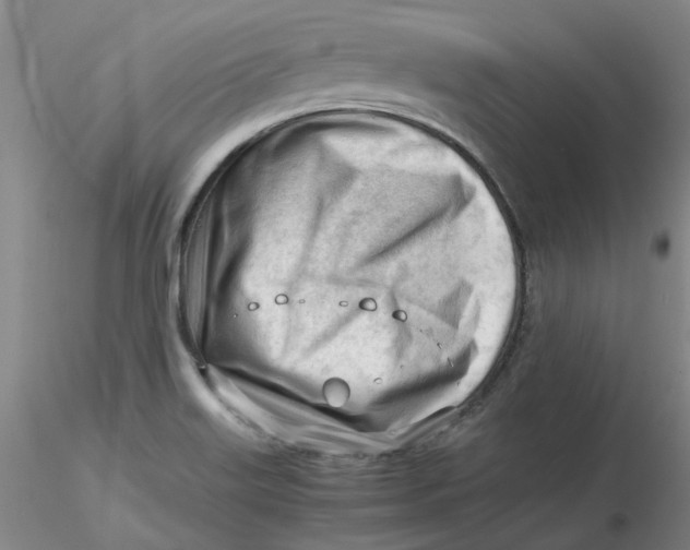 X0000116271515200912211747