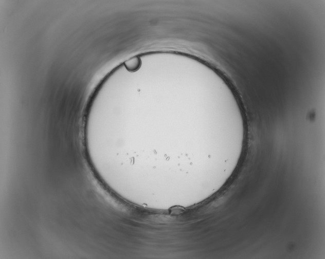 X0000116271517200912211747