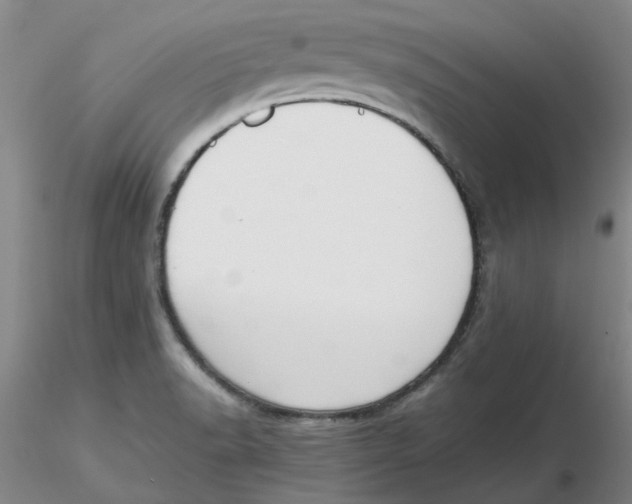 X0000116271518200912211747