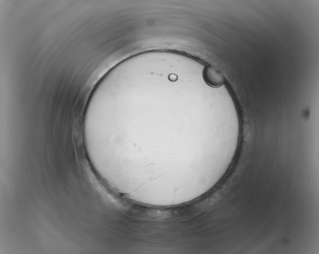 X0000116271521200912211747