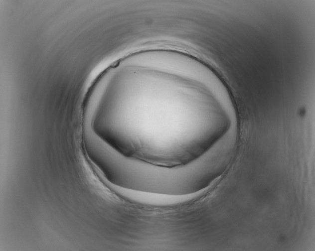 X0000116271522200912211747