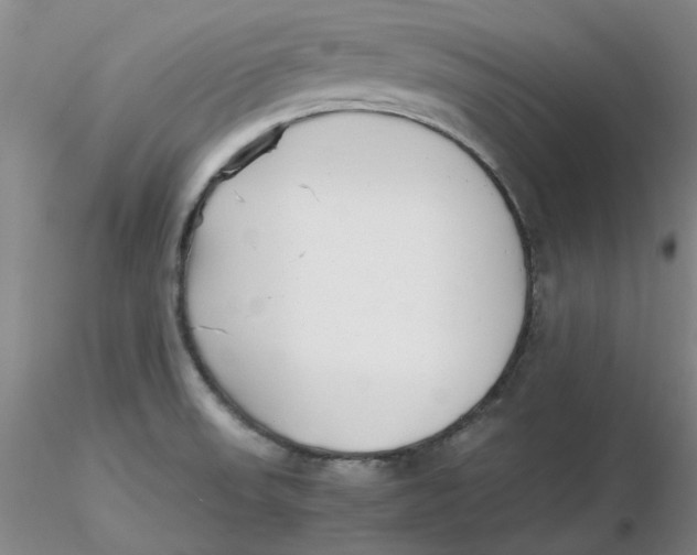 X0000116271523200912211747