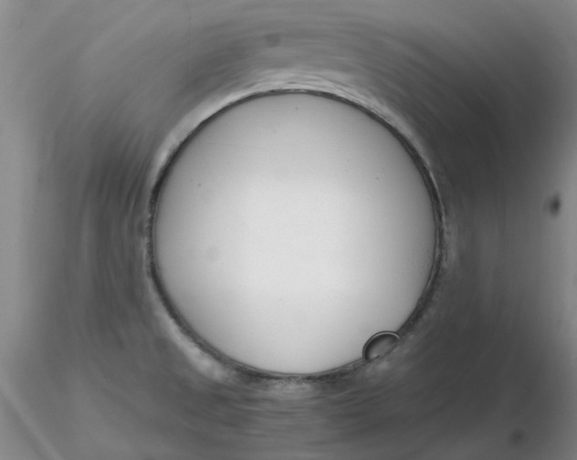 X0000116271525200912211747