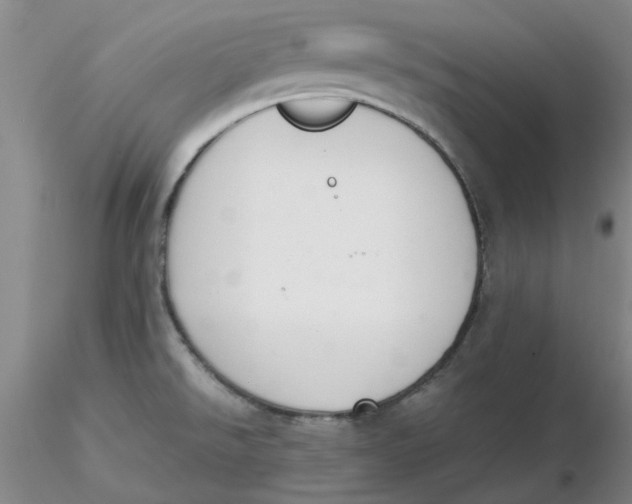 X0000116271526200912211747
