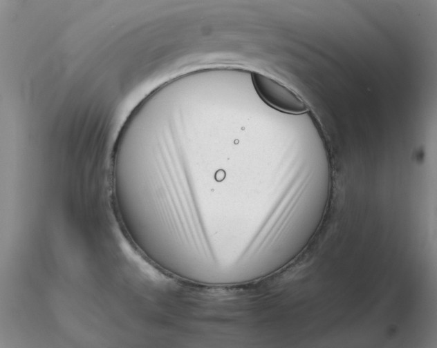 X0000116271527200912211747