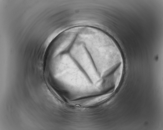 X0000116271529200912211747