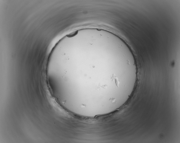 X0000116271530200912211747