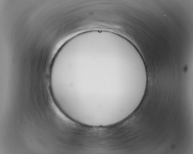 X0000116271531200912211747
