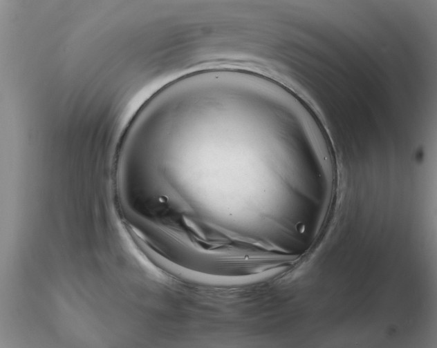 X0000116271533200912211747