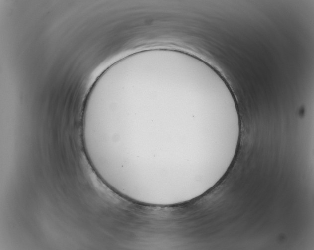 X0000116271534200912211747