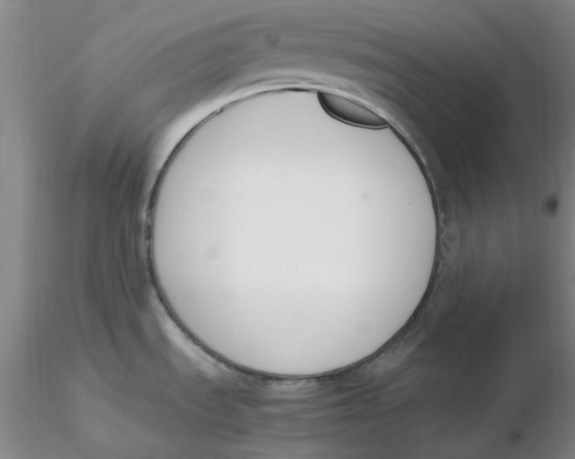 X0000116271535200912211747