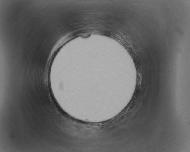 X0000116270004200912291342