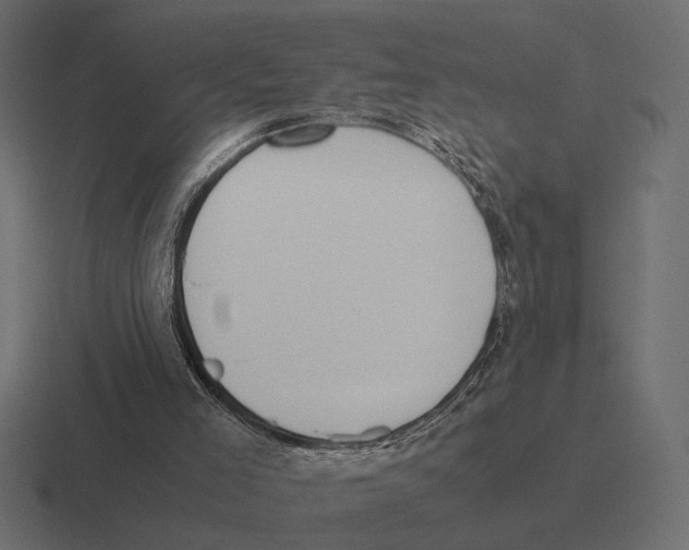 X0000116270005200912291342