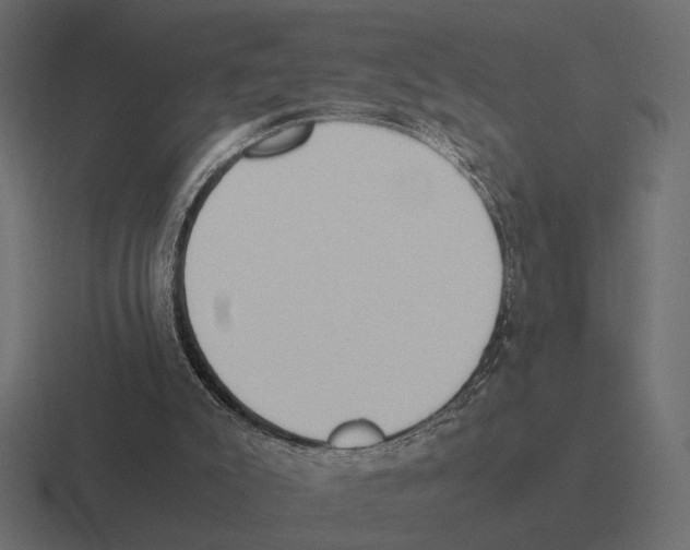 X0000116270007200912291342