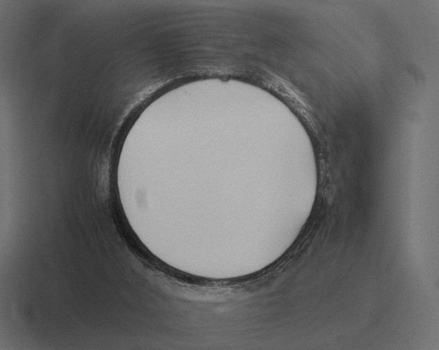 X0000116270012200912291342