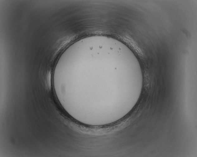 X0000116270014200912291342