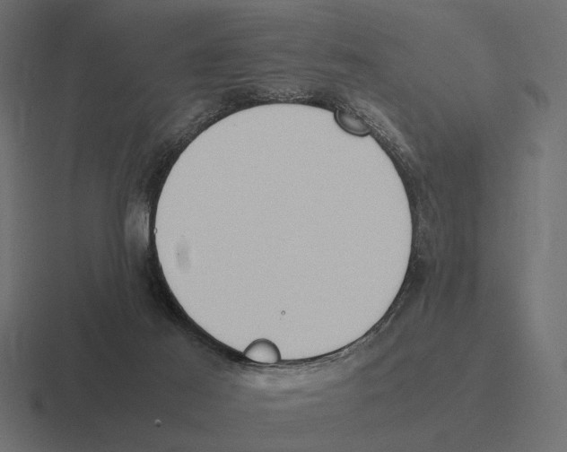 X0000116270021200912291342