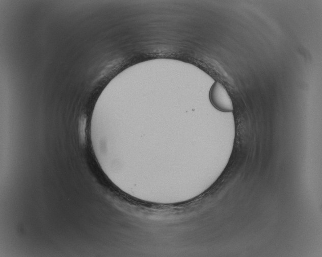 X0000116270024200912291342