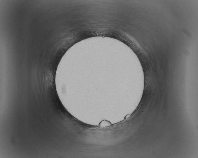X0000116270025200912291342