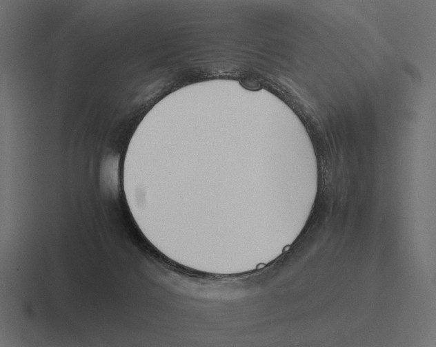X0000116270028200912291342