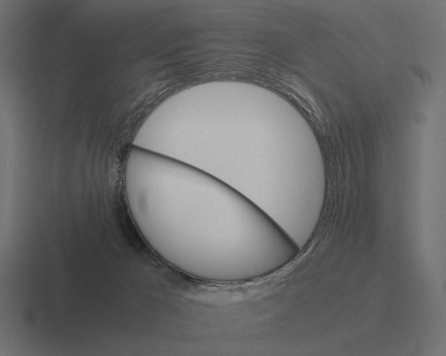 X0000116270029200912291342