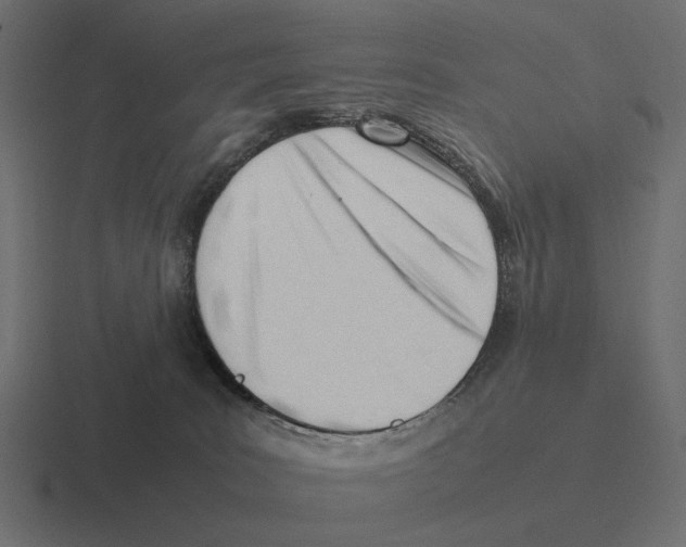 X0000116270035200912291342