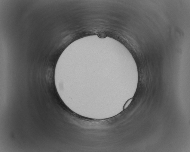 X0000116270036200912291342