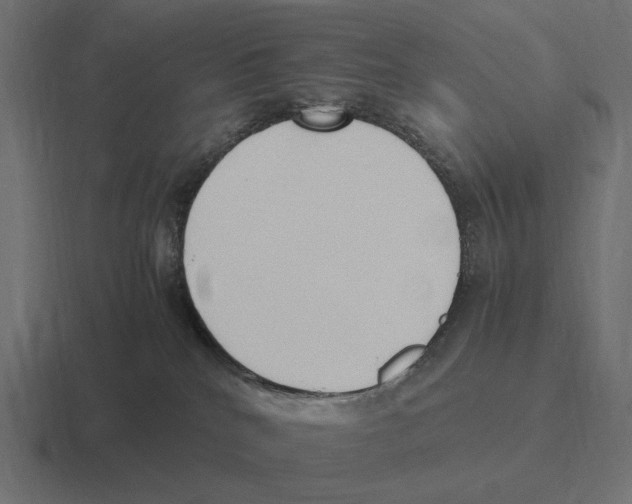 X0000116270040200912291342