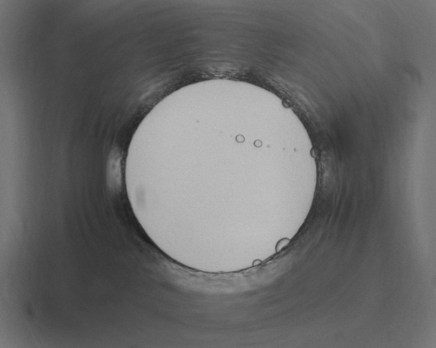 X0000116270042200912291342