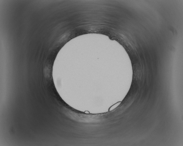 X0000116270044200912291342