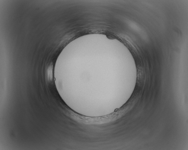 X0000116270046200912291342