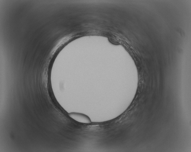 X0000116270054200912291341