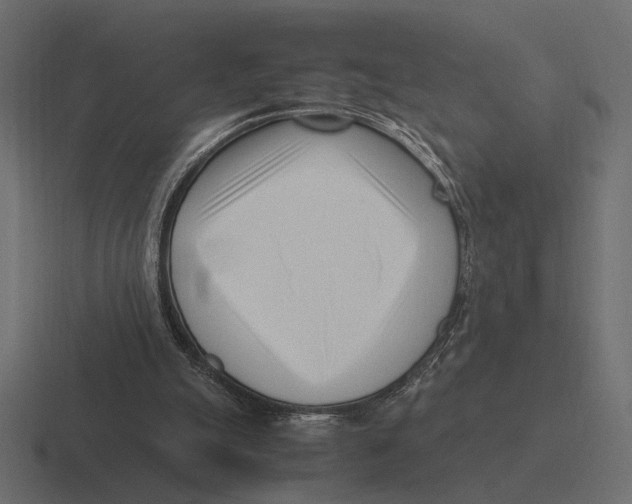 X0000116270055200912291341