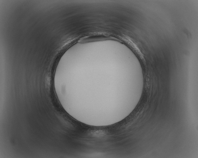 X0000116270063200912291341
