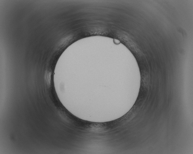 X0000116270070200912291341