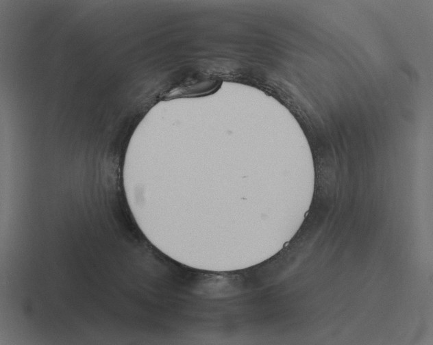 X0000116270083200912291342