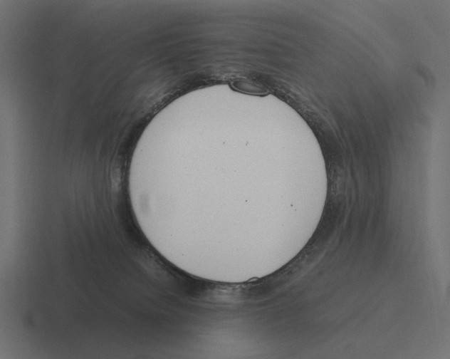 X0000116270084200912291342