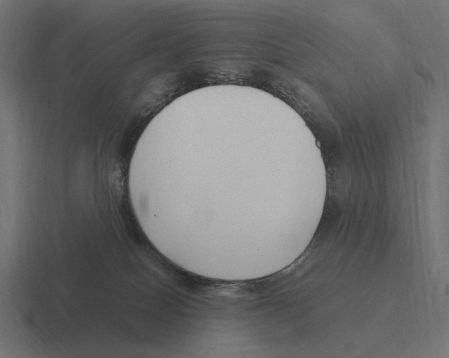 X0000116270086200912291342