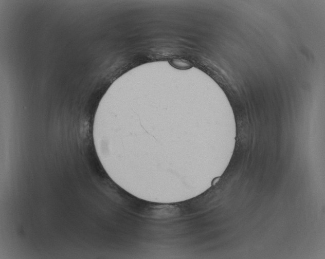 X0000116270087200912291342