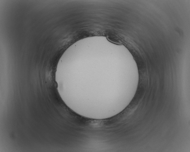 X0000116270088200912291342