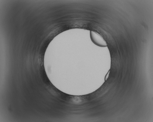 X0000116270091200912291342