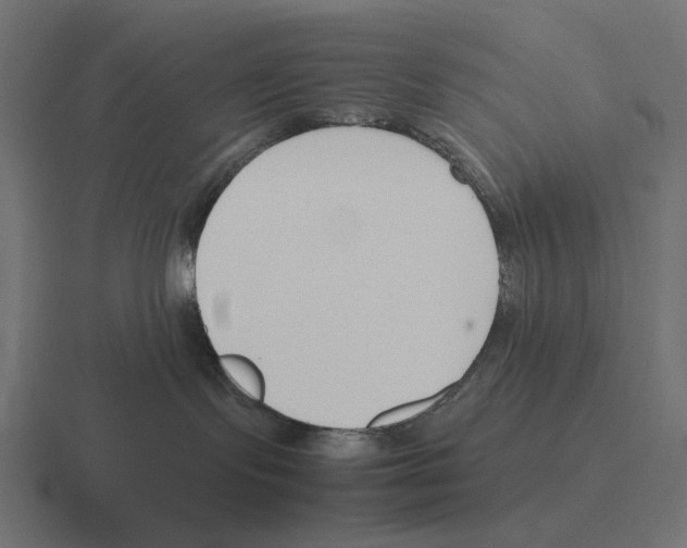X0000116270095200912291342