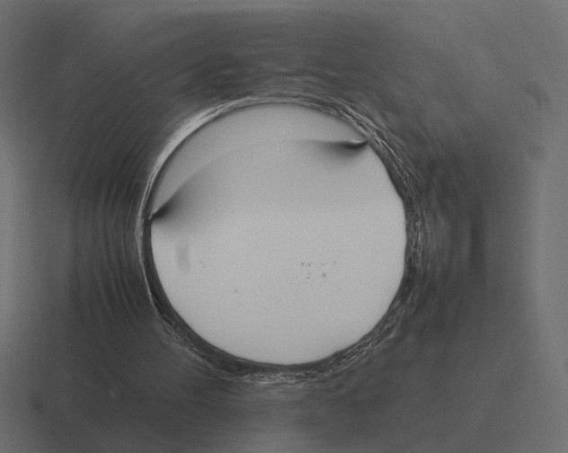 X0000116270100200912291341